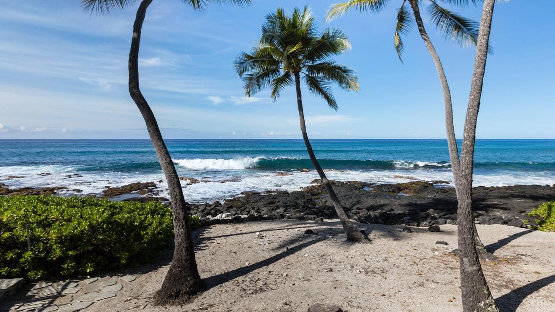 Kona Nalu 103 Leilighet Kailua-Kona Eksteriør bilde